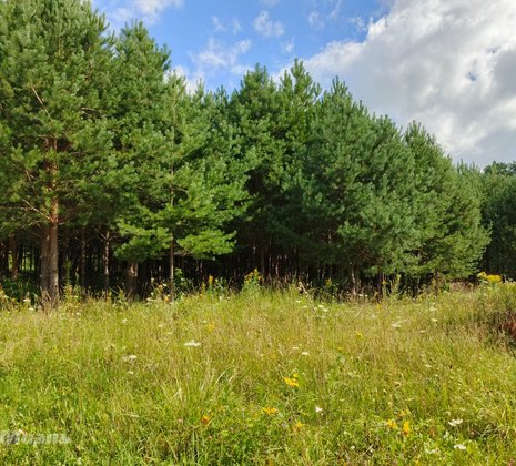 Тульская обл, Заокский р-н, село Покровское