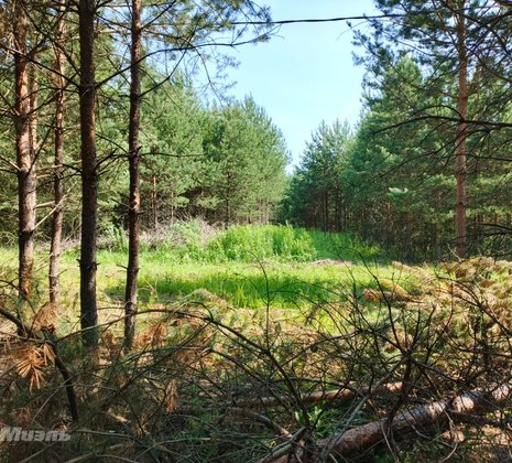 Тульская обл, Заокский р-н, село Покровское