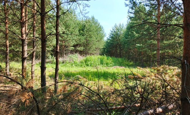 Тульская обл, Заокский р-н, село Покровское