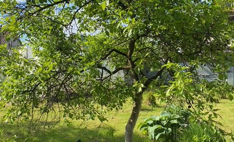 Московская обл, г Балашиха, тер СПО Бархат, д 81