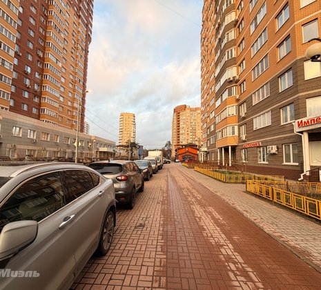 Московская обл, г Балашиха, мкр Ольгино, ул Главная, д 3