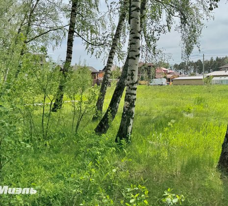 Московская обл, г Люберцы, тер ДНТ Сосновый бор, д 536