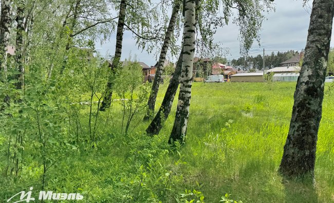 Московская обл, г Люберцы, тер ДНТ Сосновый бор, д 536