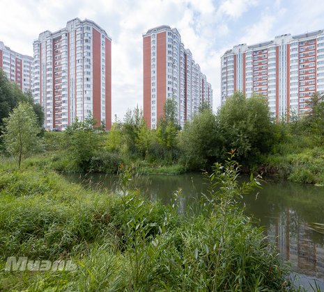 1-комнатная квартира в г. Балашиха