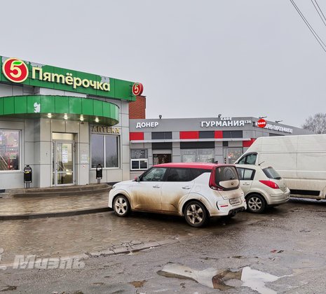 Московская обл, г Щёлково, тер Новое Шевёлкино, ул Южная, д 39Б