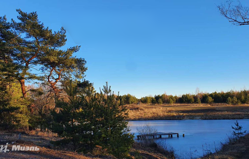 Тульская обл, Заокский р-н, село Покровское