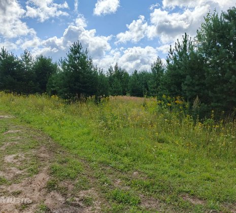 Тульская обл, Заокский р-н, село Покровское